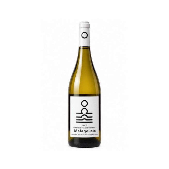 Sun White - Kontozisis Organic Vineyards - Karditsa, Thessaly, Greece - Malagousia - Organic white wine - Natural wine - Eklektikon